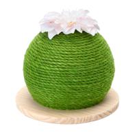 Nobleza Katten krabbol - Cactus - Groen - 23 cm