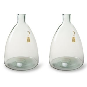 2x stuks transparante Eco vaas/vazen met hals van glas 36 x 24 cm