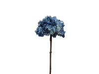 Kunstbloem hortensia 66 cm, blauw/groen - Buitengewoon de boet