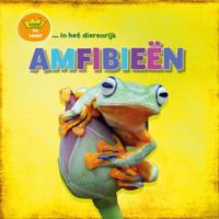 Amfibieën (Hardback) Amfibieën (Hardback)
