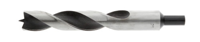 Hikoki accessoires Hout Spiraalboor D. 22,0X180Mm - 781917
