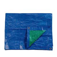 Zonnetent EDM 74990 Blauw Groen 90 g/m² 2 x 3 m Dubbelzijdig