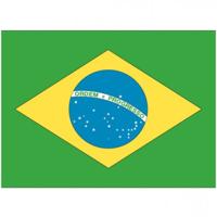 10x stuks Vlag van Brazilie plakstickers