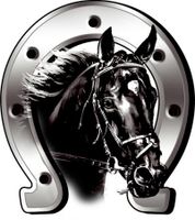 Sticker Horse + Horseshoe - 6x7cm AV124025 - thumbnail