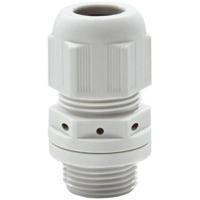 DOTLUX 4723 1 stuk(s)