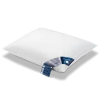 Vandyck Pure Nature driekamer hoofdkussen