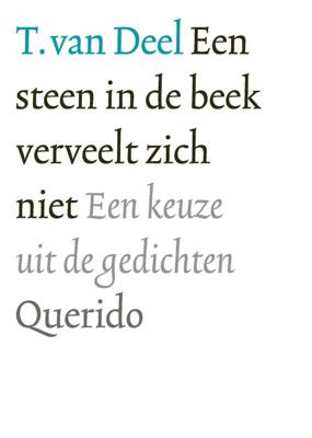 Een steen in de beek verveelt zich niet (Paperback)
