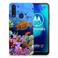 Motorola Moto G8 Power Lite | TPU Hoesje | Vissen
