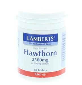 Crataegus 2500 mg (hawthorn)
