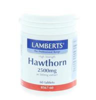Crataegus 2500 mg (hawthorn) - thumbnail
