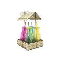 4 Drinkflesjes in houder gekleurd glas