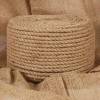 Touw 50 m lang 12 mm dik jute - thumbnail