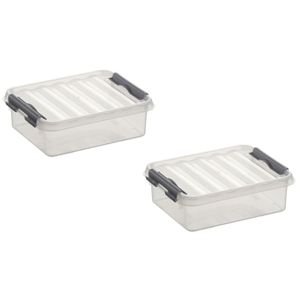 2x stuks opbergboxen/opbergdozen 1 liter kunststof transparant/metallic zilver