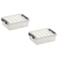 2x stuks opbergboxen/opbergdozen 1 liter kunststof transparant/metallic zilver - thumbnail