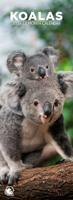 Koala Slimline Kalender 2026