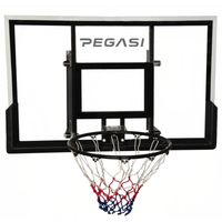 Pegasi basketbalbord School 122x82cm - thumbnail