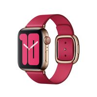 Apple origineel Modern Buckle Apple Watch large 38mm / 40mm / 41mm Raspberry - MXPC2ZM/A - thumbnail