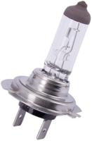SPAHN headlight bulb 12v 55w h7 longlife px26d