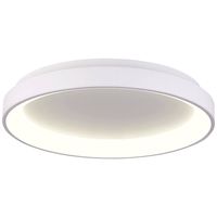 Deko Light Merope Plafondopbouwarmatuur LED LED vast ingebouwd 42 W Energielabel: E (A - G) Warmwit, Neutraalwit Verkeerswit (RAL 9016)