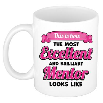 Cadeau koffie/thee mok - excellent leraar/mentor - wit - keramiek - 300 ml