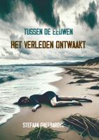 Tussen de eeuwen: het verleden ontwaakt - Stefaan Gheerardyn - ebook