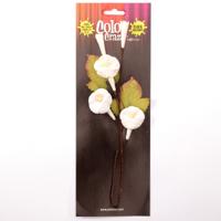 Petaloo • color me crazy trumpet vine spray