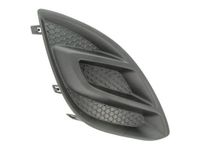 Ventilatiegrille, bumper 6502075024916P