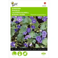 Phacelia, Bijenvoer Phacelia, Bijenvoer