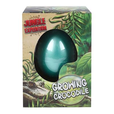 Jungle Expediton Ei met Groeiende Krokodil, 6cm