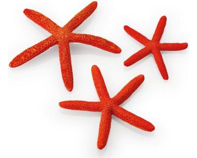 biOrb set zeesterren rood - Oase