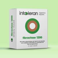 Intoleran Fibractase 1200 Intoleran Fibractase 1200
