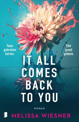 It All Comes Back To You (Paperback)