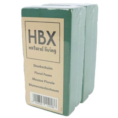 HBX Natural Living steekschuim/oase - 2x - groen - L20 x B10 x H7,5 cm - foam - rechthoekig