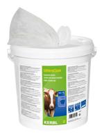 Uierdoekjes vochtig 1000 stuks in emmer