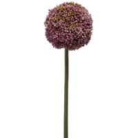 Allium/Sierui kunstbloem - losse steel - paars - 75 cm - Natuurlijke uitstraling
