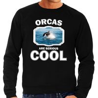 Dieren orka sweater zwart heren - orcas are cool trui