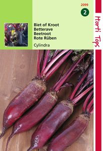 Bieten Cylindra, Halflange - Hortitops