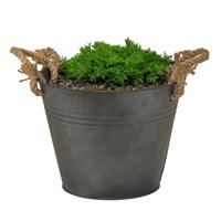 Plantenpot/bloempot Old Rope - rond - zink - antraciet - D35 X H25 cm