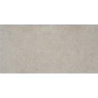Vloertegel Alaplana P.E. Bonn Gerectificeerd 60x120 cm Mate Grey Alaplana
