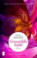 Gevaarlijke liefde (Paperback)