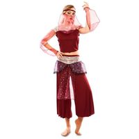 Arabische 1001 nacht danseres kostuum