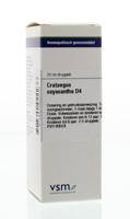 VSM Crataegus oxyacantha D4 20 Milliliter