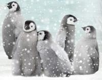 Good Morning Kinderdekbedovertrek "pinguins" - Blauw - (140x200/220 cm) - Katoen Flanel