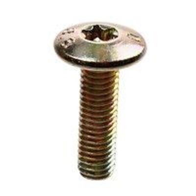 Ds Slotschroef 5X12 Torx Kort (P25)