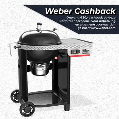 Houtskool bbq performer smart 57cm