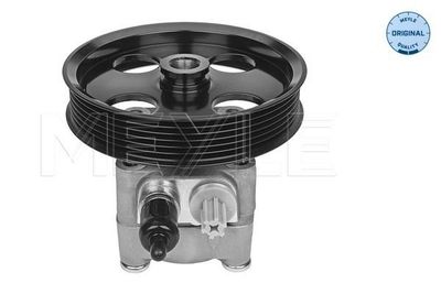 Servo pomp 5146310013
