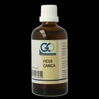 Ficus carica bio 100 Milliliter