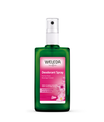 Weleda Lichaamsverzorging Wilde Rozen Deodorant Lichaam Natural Spray Verfijnde Rozengeur 100ml Weleda Lichaamsverzorging Wilde Rozen Deodorant Lichaam Natural Spray Verfijnde Rozengeur 100ml