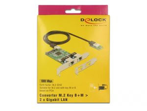 DeLOCK Converter M.2 Key B+M male > 2 x Gigabit LAN netwerkadapter Low Profile