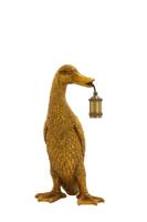 Duck - thumbnail